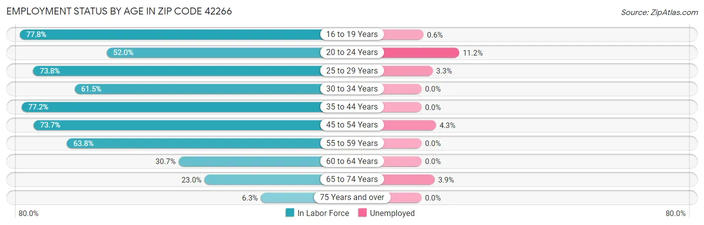 Employment Status by Age in Zip Code 42266