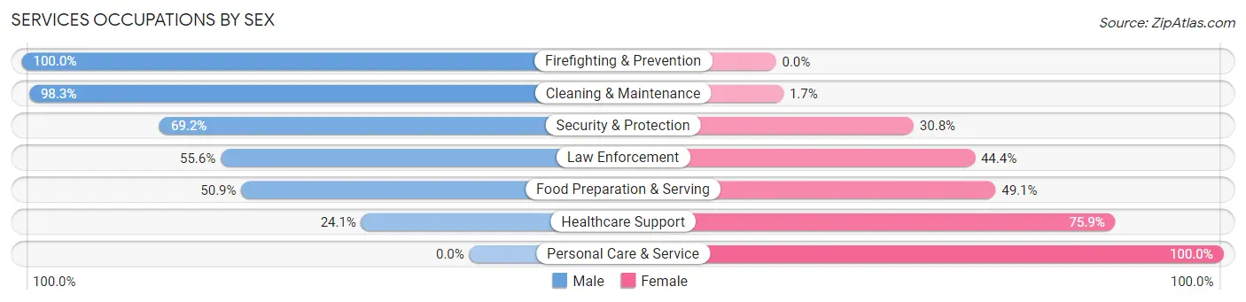Services Occupations by Sex in Zip Code 42266