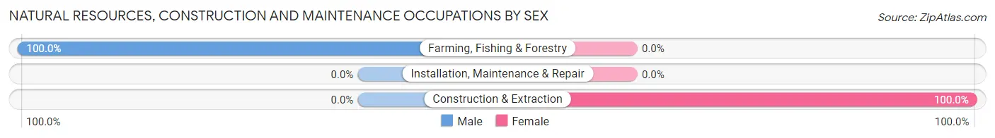 Natural Resources, Construction and Maintenance Occupations by Sex in Zip Code 42273