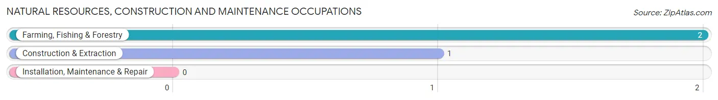 Natural Resources, Construction and Maintenance Occupations in Zip Code 42273
