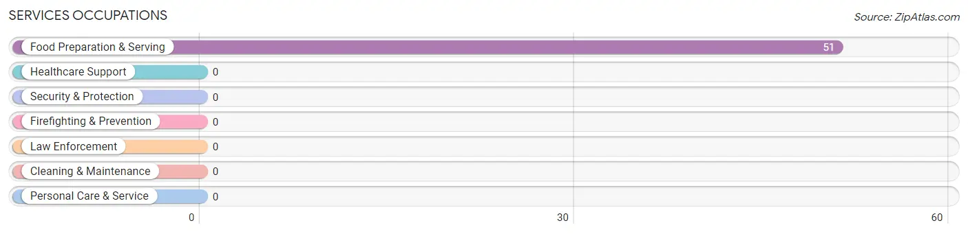 Services Occupations in Zip Code 42275