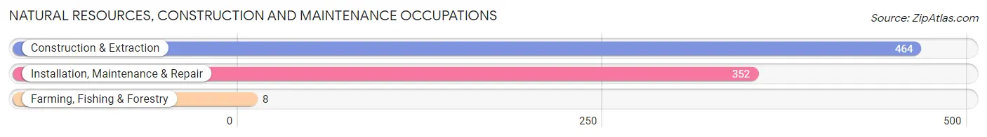 Natural Resources, Construction and Maintenance Occupations in Zip Code 42276
