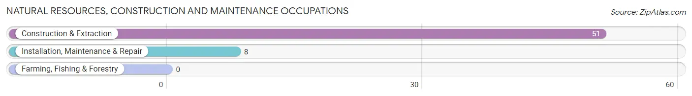 Natural Resources, Construction and Maintenance Occupations in Zip Code 42285
