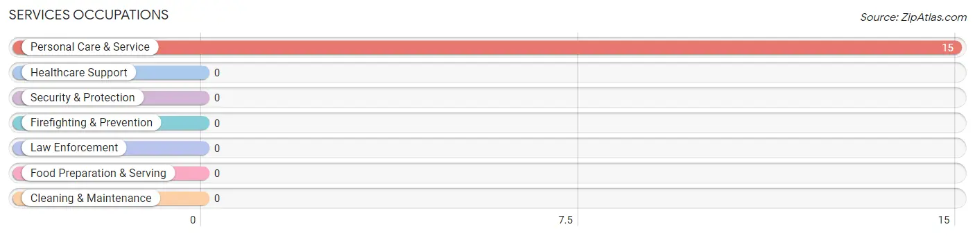 Services Occupations in Zip Code 42285
