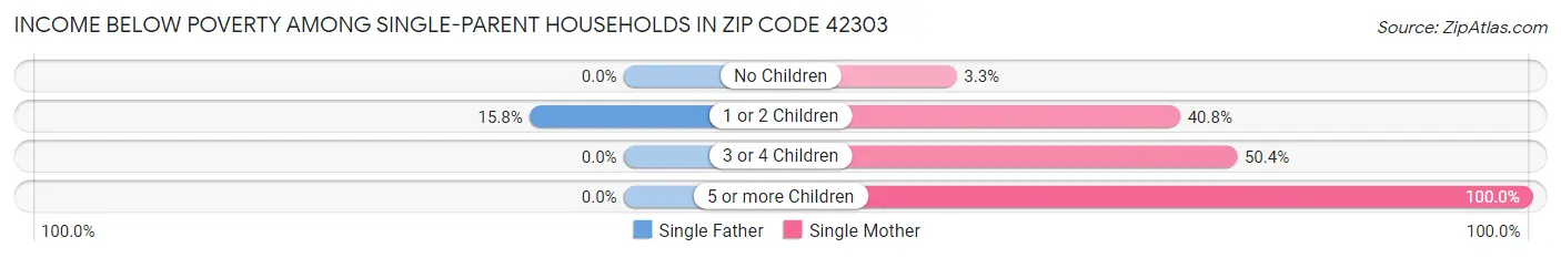 Income Below Poverty Among Single-Parent Households in Zip Code 42303