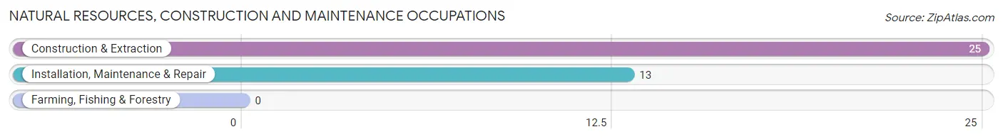 Natural Resources, Construction and Maintenance Occupations in Zip Code 42321