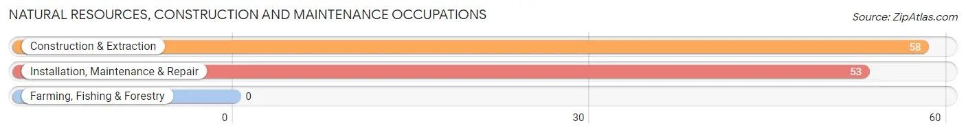 Natural Resources, Construction and Maintenance Occupations in Zip Code 42328
