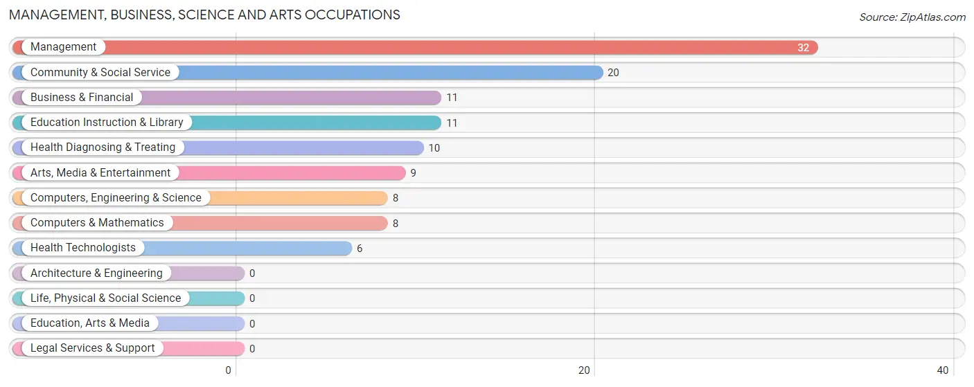 Management, Business, Science and Arts Occupations in Zip Code 42339