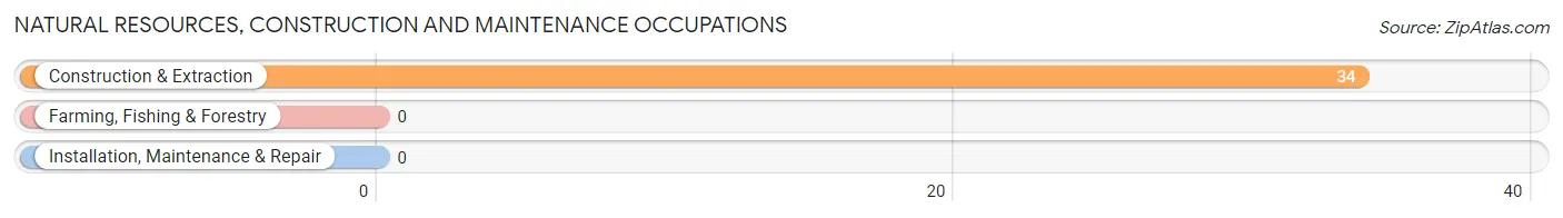 Natural Resources, Construction and Maintenance Occupations in Zip Code 42344