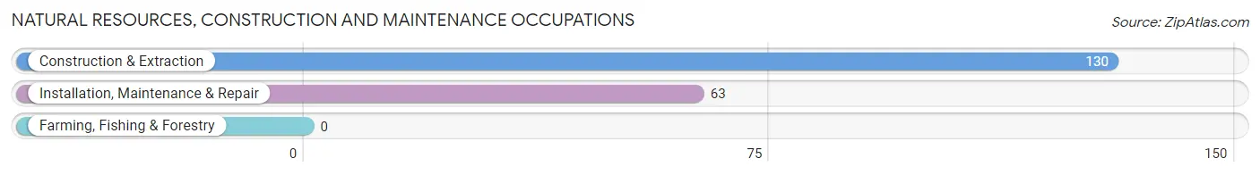 Natural Resources, Construction and Maintenance Occupations in Zip Code 42347