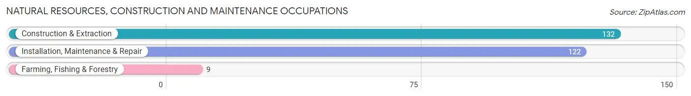 Natural Resources, Construction and Maintenance Occupations in Zip Code 42348