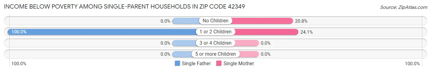 Income Below Poverty Among Single-Parent Households in Zip Code 42349