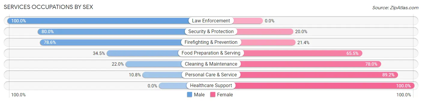 Services Occupations by Sex in Zip Code 42351