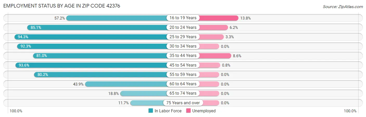 Employment Status by Age in Zip Code 42376