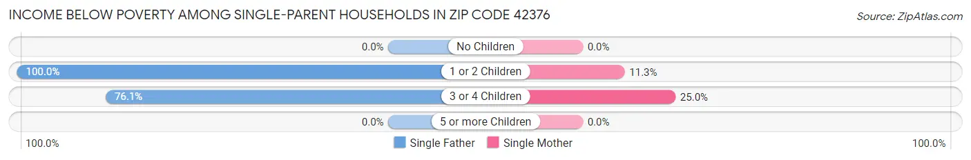 Income Below Poverty Among Single-Parent Households in Zip Code 42376