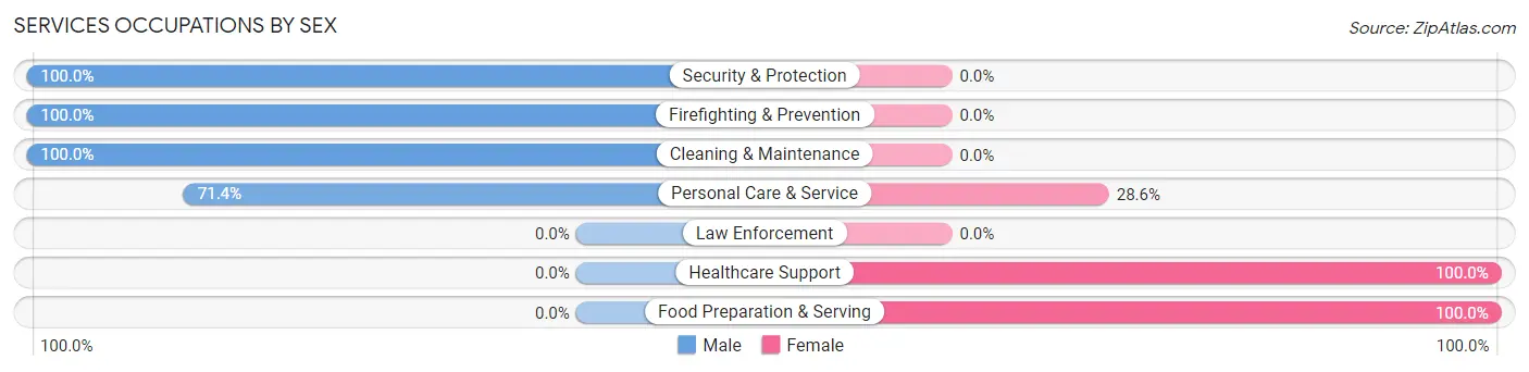 Services Occupations by Sex in Zip Code 42376