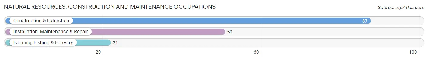 Natural Resources, Construction and Maintenance Occupations in Zip Code 42404