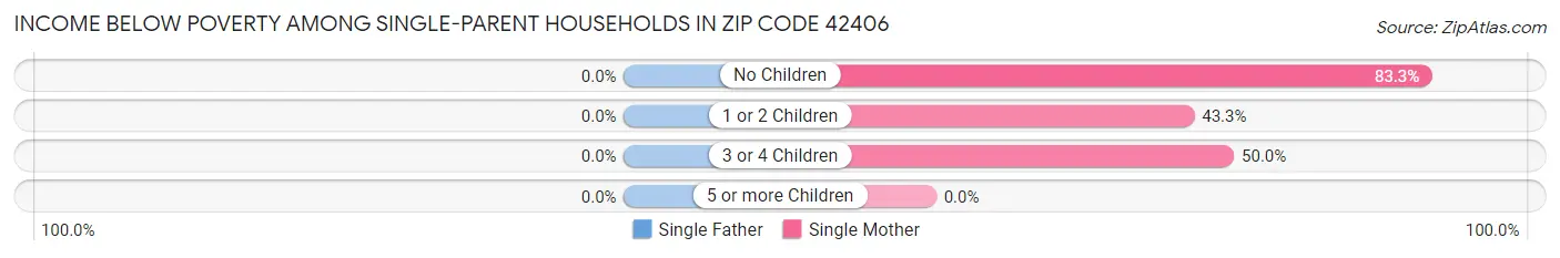 Income Below Poverty Among Single-Parent Households in Zip Code 42406
