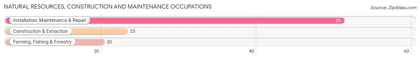 Natural Resources, Construction and Maintenance Occupations in Zip Code 42411