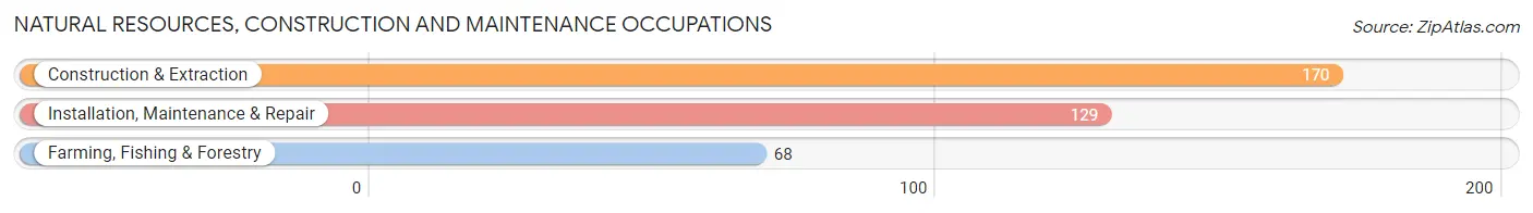 Natural Resources, Construction and Maintenance Occupations in Zip Code 42437