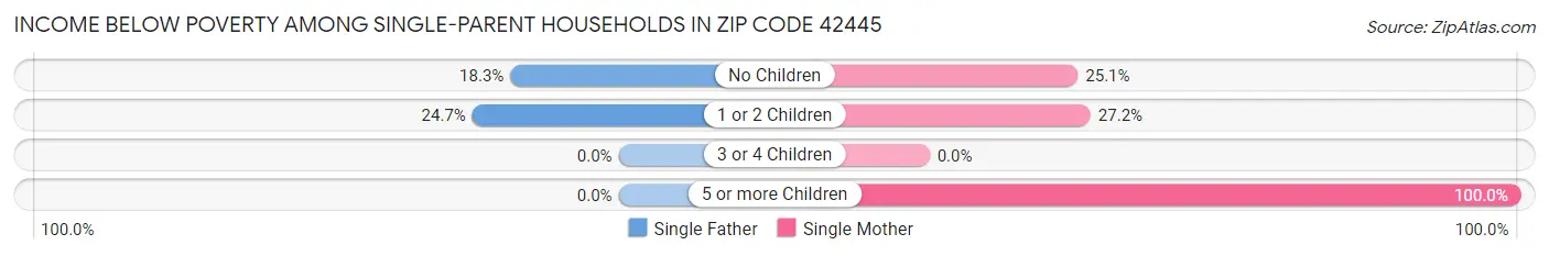 Income Below Poverty Among Single-Parent Households in Zip Code 42445