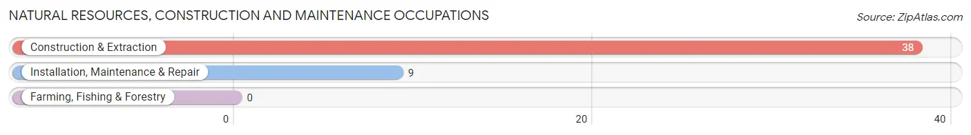 Natural Resources, Construction and Maintenance Occupations in Zip Code 42451
