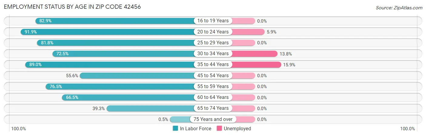 Employment Status by Age in Zip Code 42456