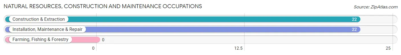 Natural Resources, Construction and Maintenance Occupations in Zip Code 42458