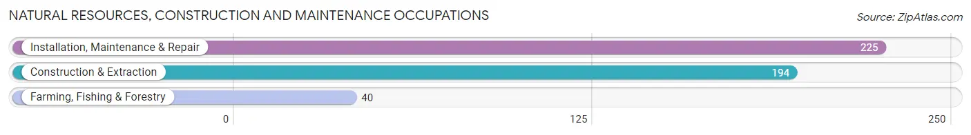 Natural Resources, Construction and Maintenance Occupations in Zip Code 42459