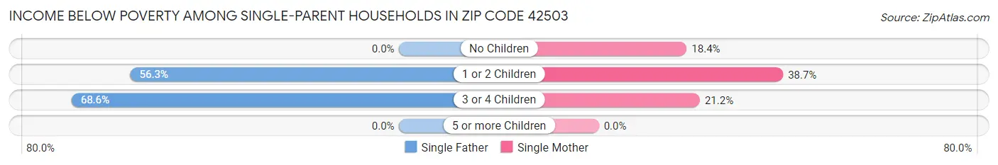 Income Below Poverty Among Single-Parent Households in Zip Code 42503