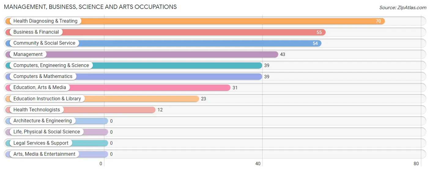Management, Business, Science and Arts Occupations in Zip Code 42519