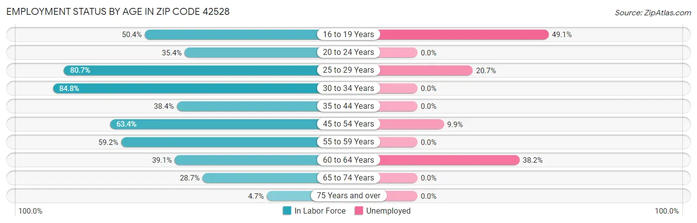 Employment Status by Age in Zip Code 42528