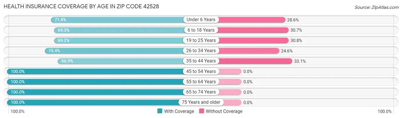 Health Insurance Coverage by Age in Zip Code 42528