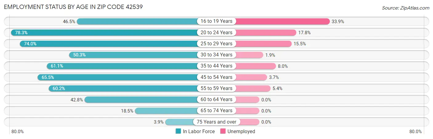 Employment Status by Age in Zip Code 42539