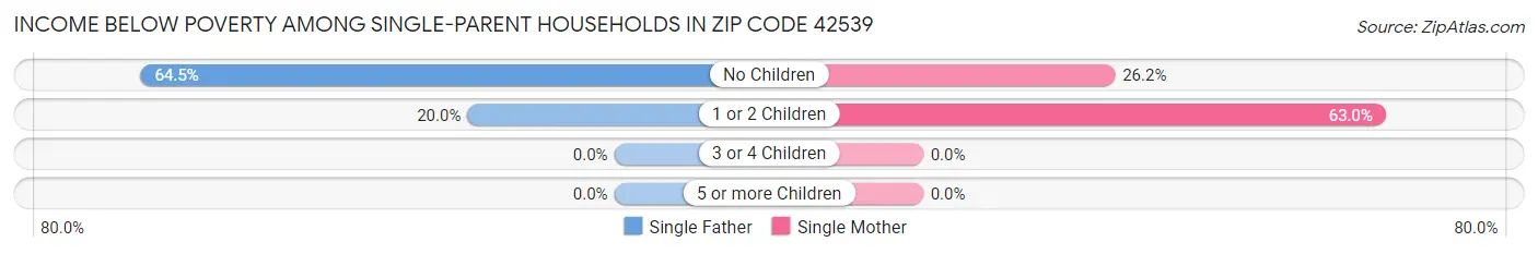 Income Below Poverty Among Single-Parent Households in Zip Code 42539