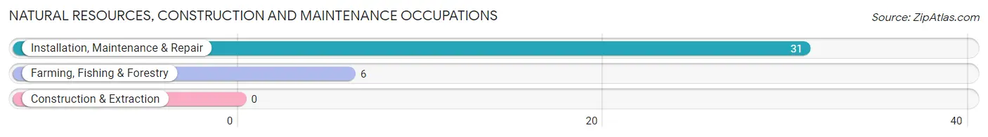 Natural Resources, Construction and Maintenance Occupations in Zip Code 42541