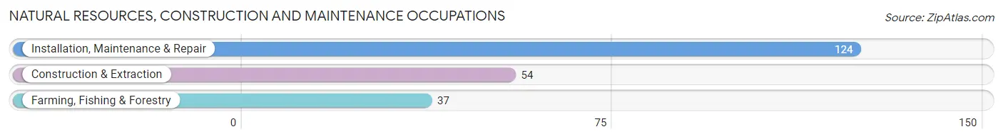 Natural Resources, Construction and Maintenance Occupations in Zip Code 42544