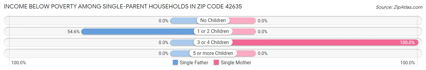 Income Below Poverty Among Single-Parent Households in Zip Code 42635