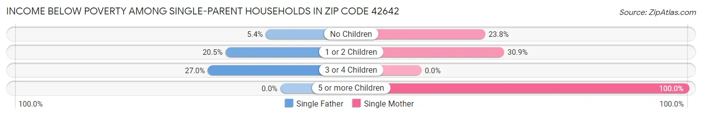 Income Below Poverty Among Single-Parent Households in Zip Code 42642
