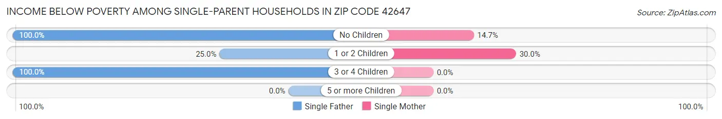 Income Below Poverty Among Single-Parent Households in Zip Code 42647