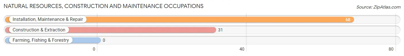 Natural Resources, Construction and Maintenance Occupations in Zip Code 42649