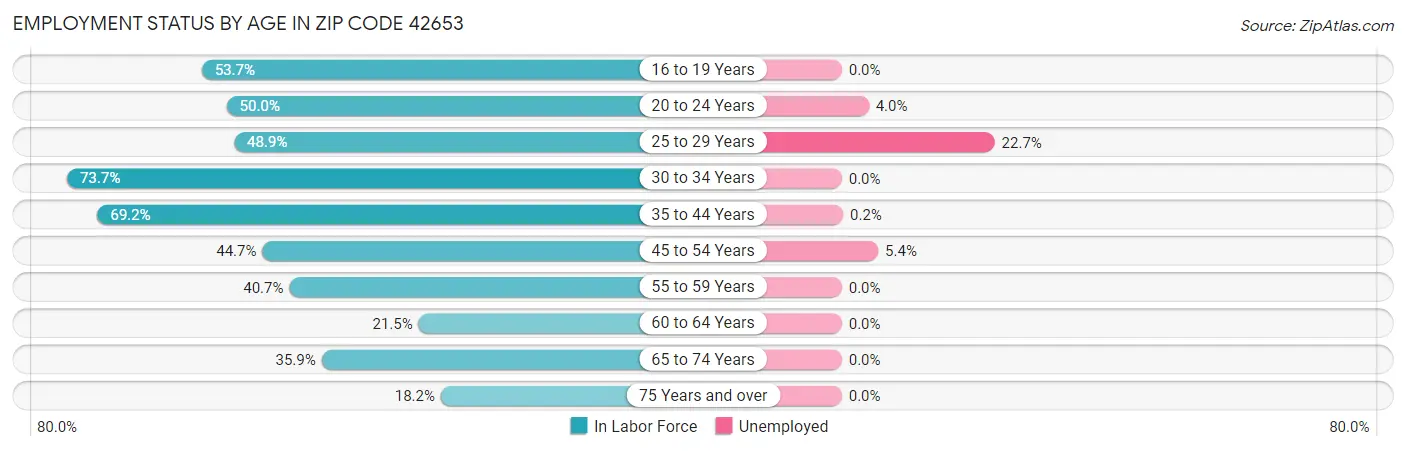 Employment Status by Age in Zip Code 42653