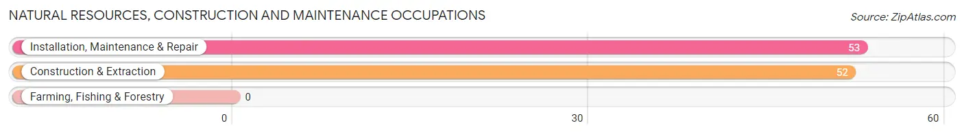 Natural Resources, Construction and Maintenance Occupations in Zip Code 42653