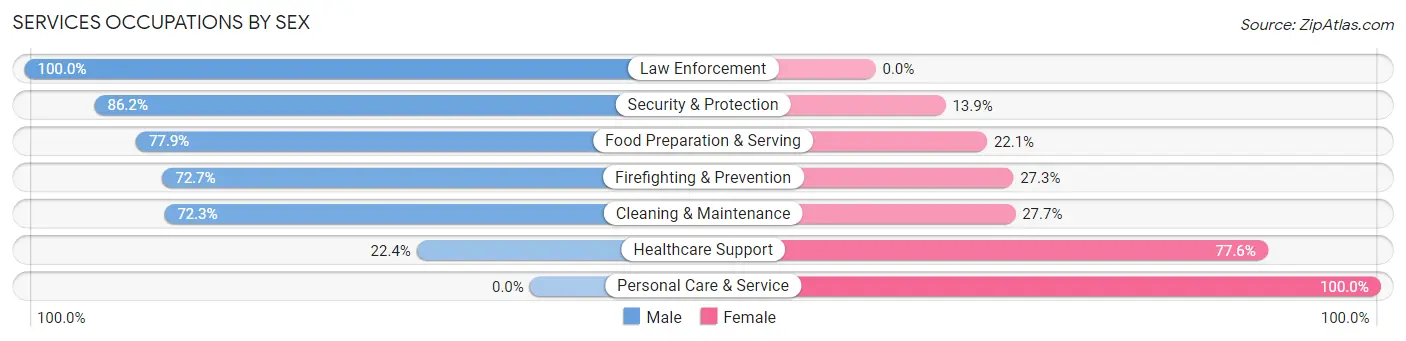 Services Occupations by Sex in Zip Code 42653