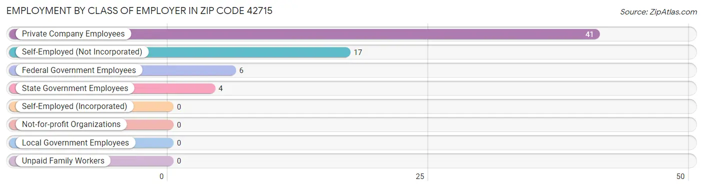 Employment by Class of Employer in Zip Code 42715