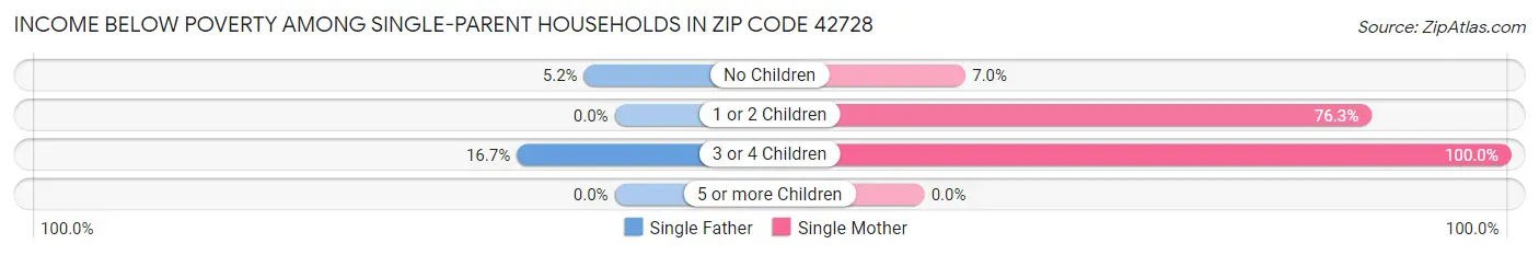 Income Below Poverty Among Single-Parent Households in Zip Code 42728