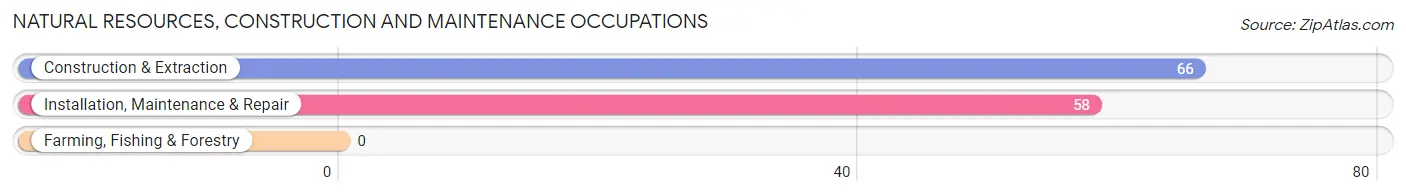 Natural Resources, Construction and Maintenance Occupations in Zip Code 42732