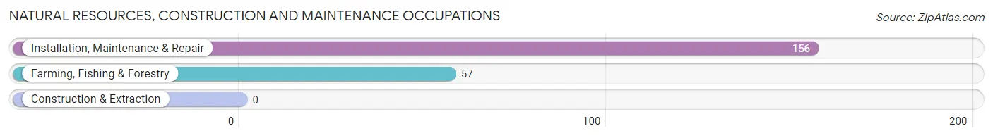 Natural Resources, Construction and Maintenance Occupations in Zip Code 42746