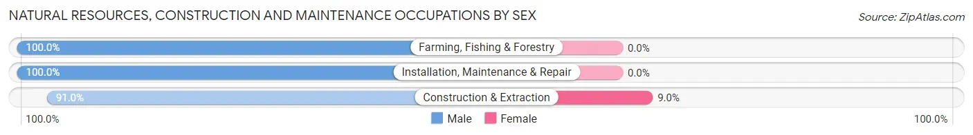 Natural Resources, Construction and Maintenance Occupations by Sex in Zip Code 42765