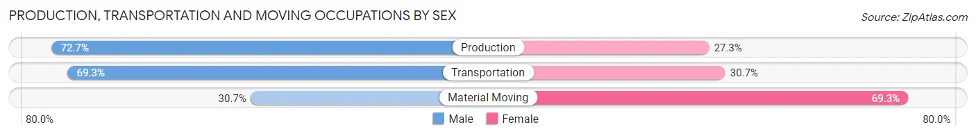 Production, Transportation and Moving Occupations by Sex in Zip Code 42765